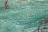 Polished Fuchsite Chert (Dragon Stone) Slab - Australia #70849-1